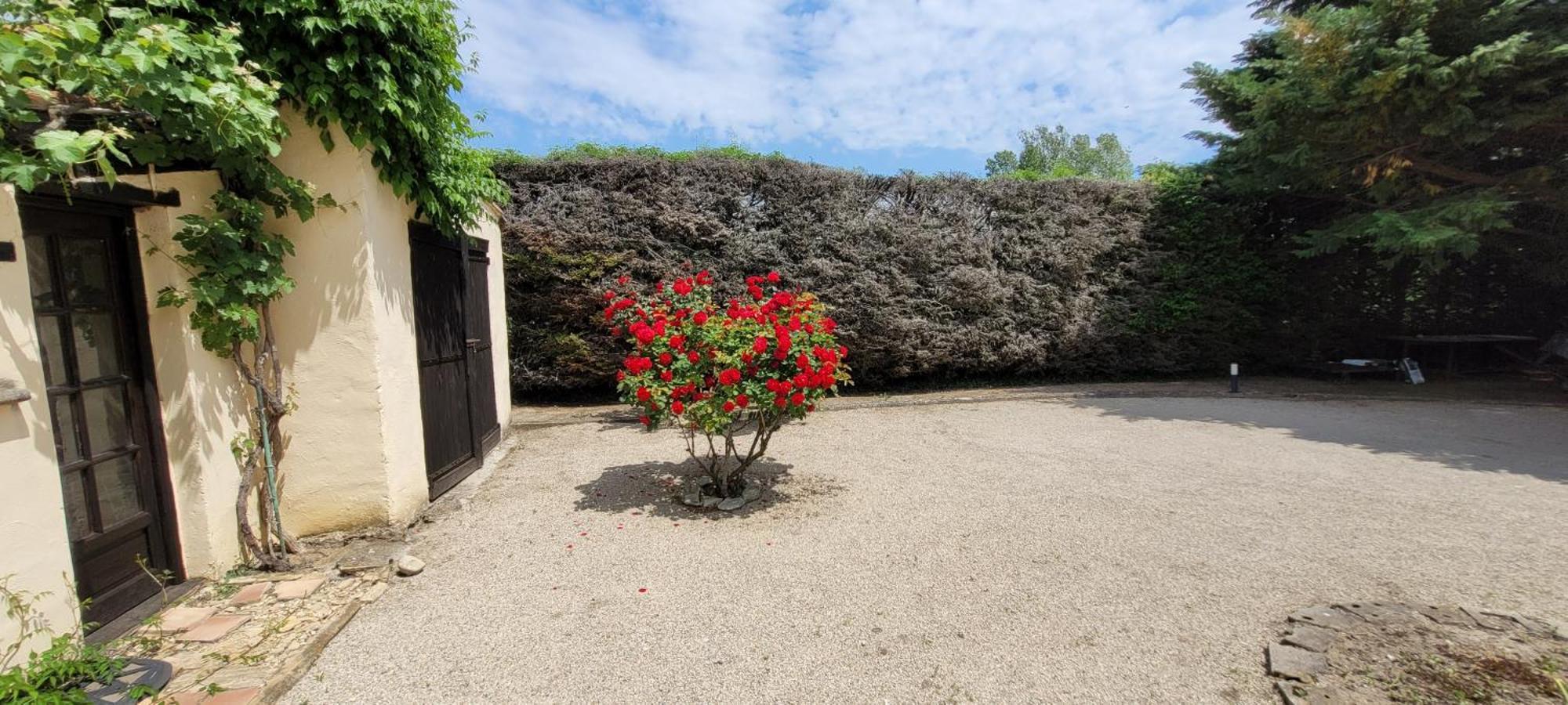 Villa Liberty Entraigues-sur-la-Sorgue Camera foto