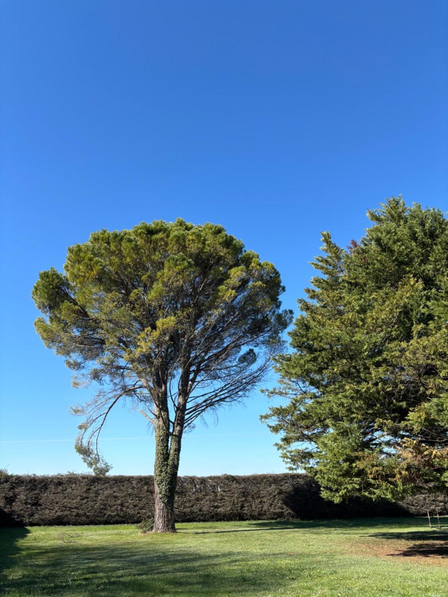 Villa Liberty Entraigues-sur-la-Sorgue Esterno foto